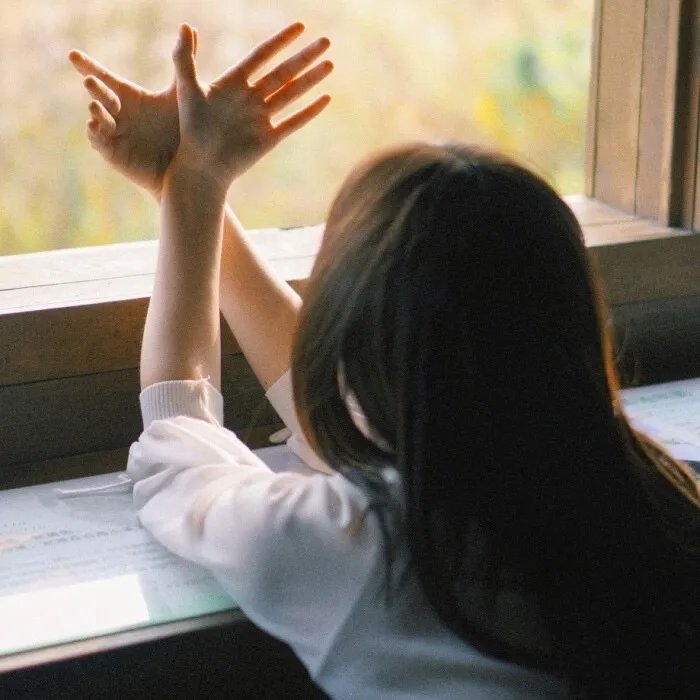 回到六零农村后种地养兄弟姐妹